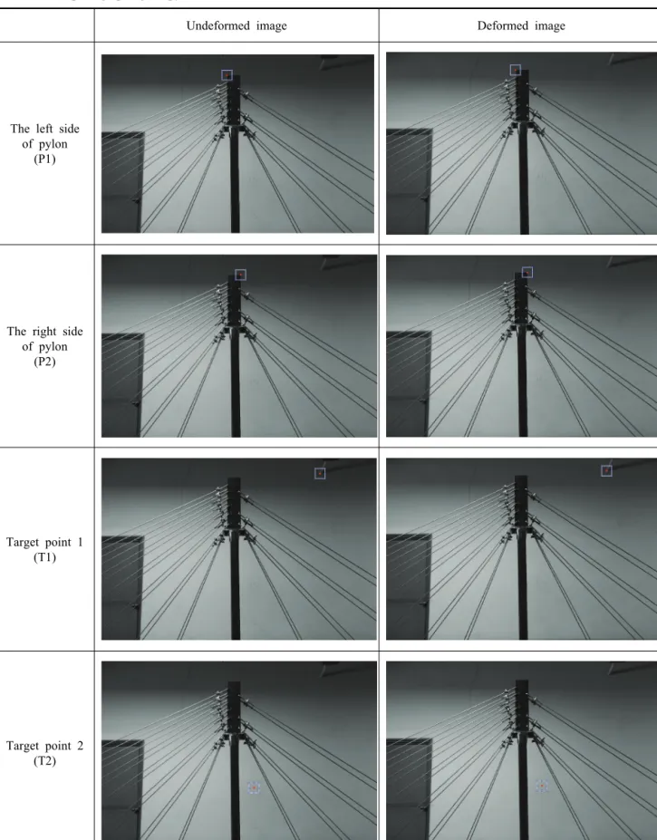Table  1.  The  photographing  of  pylon
