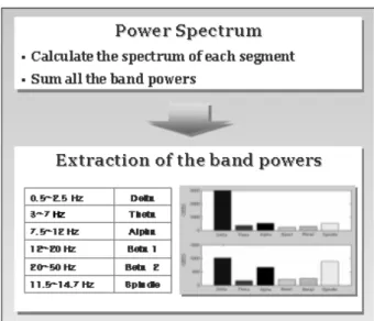 Fig. 1. Signal processing of EEG and spectral analysis.