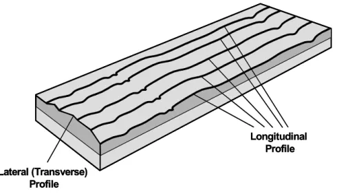 Fig.  2.1  Concept  of  road  profile