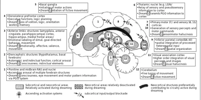 Fig. 5. Forebrain processes in normal dreaming-an integration of neurophysiological, neuropsychological, and neuroimaging data (from Hobson et al., 2000)