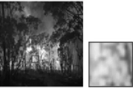 Fig. 1. Color and texture of a flame regionMost  of  watermarking  schemes  embed  data  either  in 