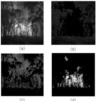 Fig. 2. FCM-based clustering results of a fire image based on  the chrominance components: (a) original image, 