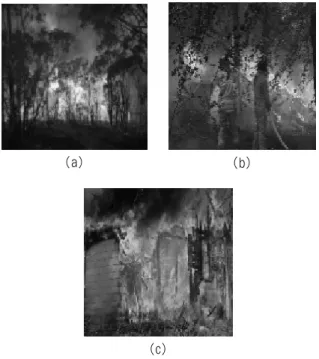 Fig. 5. Selected original fire images