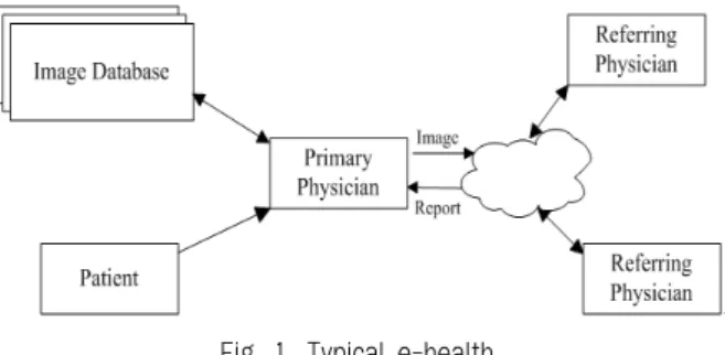 Fig. 1. Typical e-health