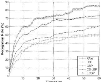 Fig. 3. Sample images of the Yale B database