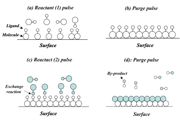 Fig. 2. Schematic of ALD process.