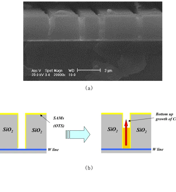 Fig. 9. Cross-sectional SEM images of trench pattern (a /r=7:1) 