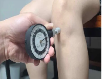 Figure  1.  Pressure  algometer