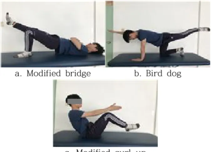 Figure 3. Lumbar stabilization exercises