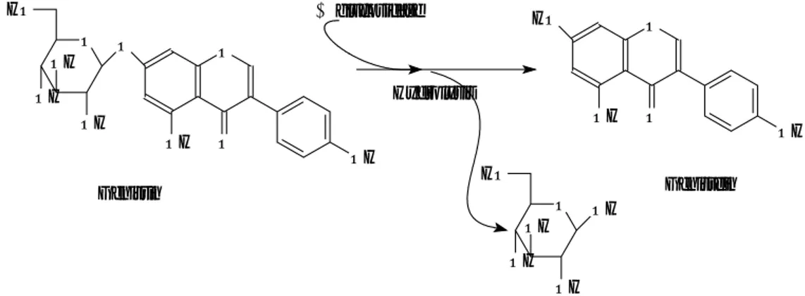 Fig. 1.  β-glucosidase에 의한 genistin의 genistein으로의 전환 