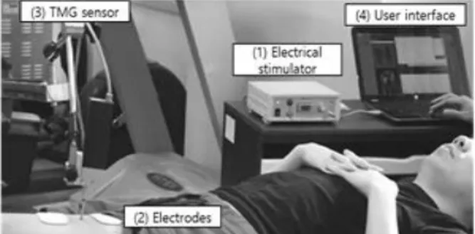 Figure  1.  System  components  of  the  TMG