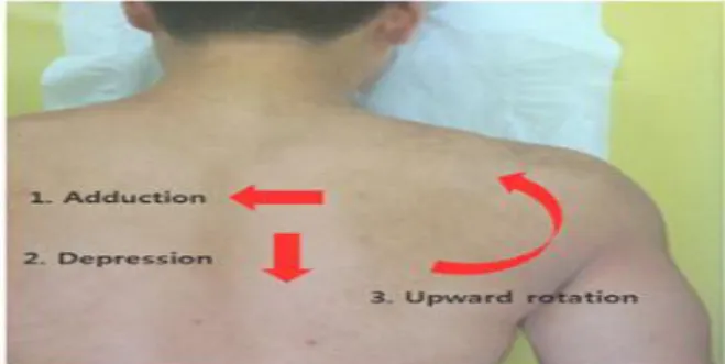 Figure  2.  Scapula  postural  correction  exercise