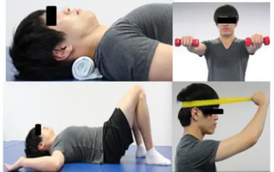 Fig 5. Stabilization &amp; strengthening exercise - Stage 2Fig 3. Gaitview Pro1.0 program