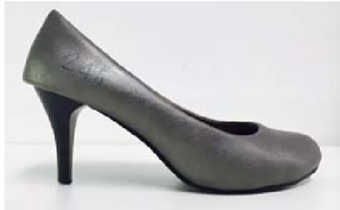 Fig 2. 7 ㎝ high-heel used in this study