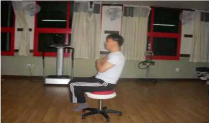 Figure  3. Trunk  Lift  and  knee  flexion-supine