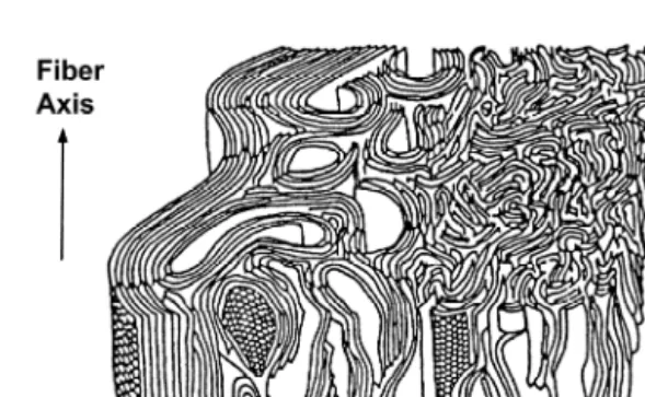 Fig. 1 Schematic diagram of higher order structure  of PAN-based carbon fiber
