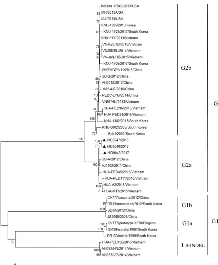 Fig. 2. Phylogenetic analysis of porcine epidemic diarrhea virus (PEDV) isolates and the reference strains