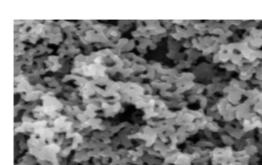 Fig. 1 FE-SEM images of TiO 2  nano particle