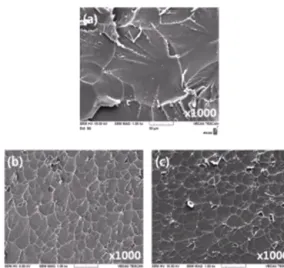 Fig. 8 Tensile fracture surface of epoxy composites  with TiO 2  nano powder