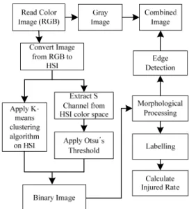 Fig. 3 Flowchart of calculating the injured rate of fish