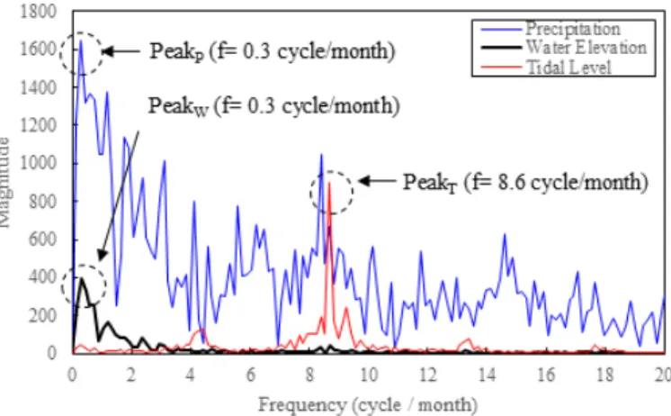 Fig. 4. Discrete fourier transform of water surface elevation, tidal level and precipitation in July 2011 