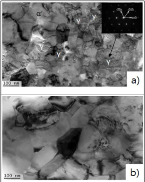 Fig. 2 TEM micrographs showing the deformation induced α’- martensite in 70% cold rolled 202  austenitic stainless steel