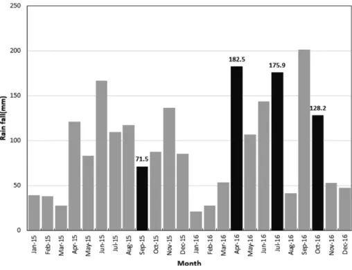 Table 2. Results of water depth at observation poin