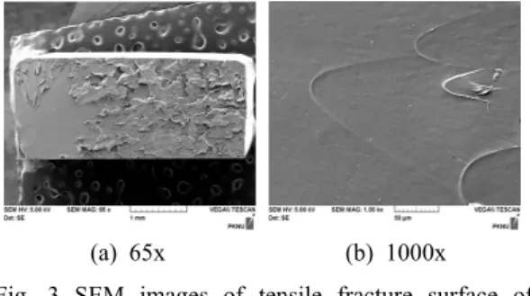Fig. 4 SEM images of tensile fracture surface of epoxy  resin with 20 nm 4. 결  론   본 연구에서는 TiO 2  나노분말의 입자크기와 에 폭시  복합재료의  기계적  물성에  미치는  효과에  대해 알아보기 위한 것으로 여러 종류의 시험편 에  대한  인장강도의  측정  및  경도  측정,  그리고   SEM  기기에  의한  파단면을  관찰한  결과  다음과  같은 결론을 얻었다