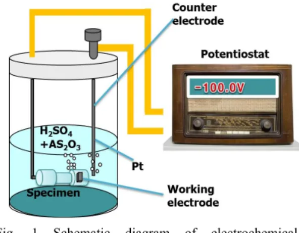 Fig. 1 Schematic diagram of electrochemical  treatment system for hydrogen charging.