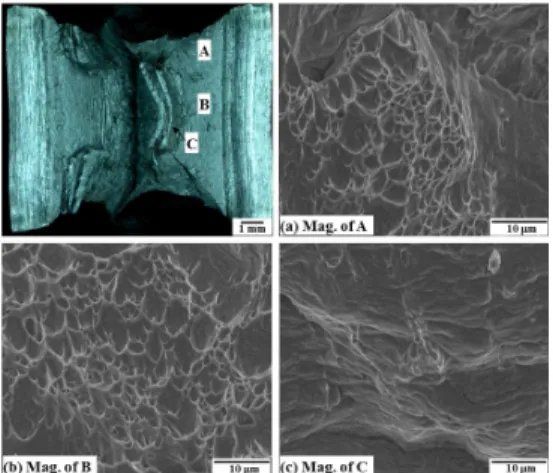 Fig. 7 Representative fracture surface for impact  test specimens of the 304 stainless steels  without a hydrogen charging