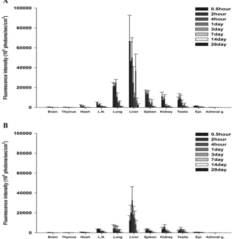 Fig. 3. Fluorescence intensity (10 6  photons/sec/cm 2 ) of total organs from 0.5 h to 28 d after injection of 0.5 mg/kg of Cy5.5-labeled HA-NPs (A) or Cy5.5-labeled HA-polymers (B)