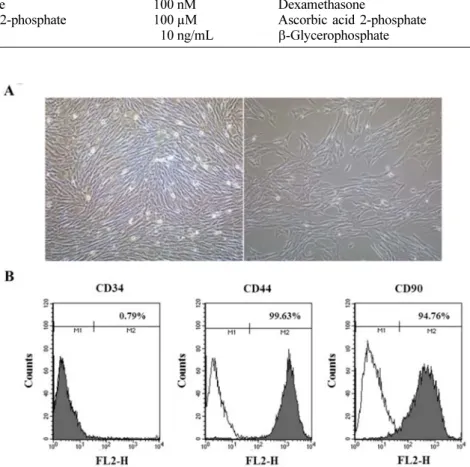 Fig. 1. Characterization of canine adipose tissue-derived mesenchymal stem cells (cAD-MSCs)