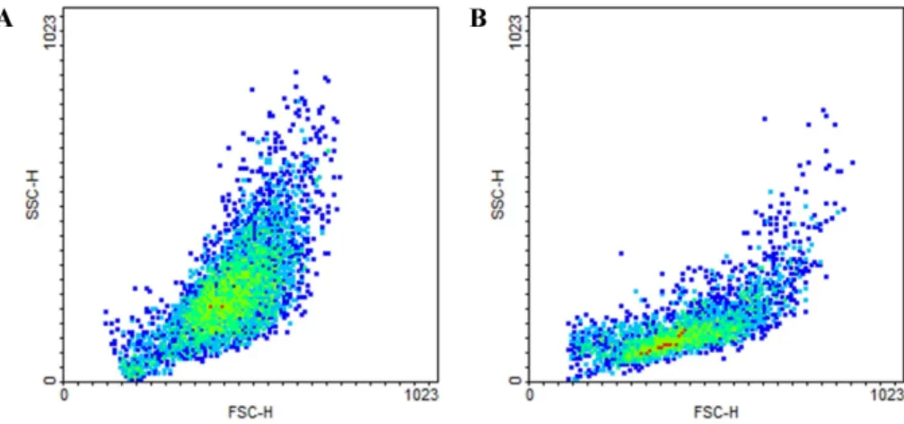 Fig. 2. Forward scatter  vs. side scatter plots of adipose-derived mesenchymal stem cells (ADMSCs) in dogs (A) and cats (B)