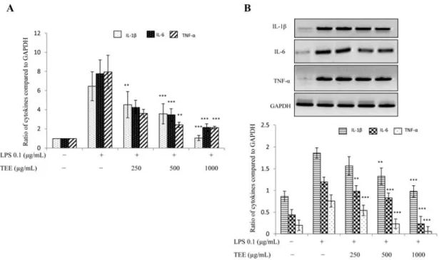 Fig. 3. Expression of pro-inflammatory cytokines was diminished by TEE. For mRNA expression, RAW 264.7 cells were pre-treated with TEE for 30 min and then stimulated with LPS for 18 h