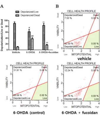Fig. 6. Changes in cumulative cell ratio (live, deplolarized/live, depolarized/dead, and dead) by changes of mitochondrial  mem-brane potential (MMP) caused by 6-OHDA alone or 6-OHDA and fucoidan (40 µg/mL) in combination (A)