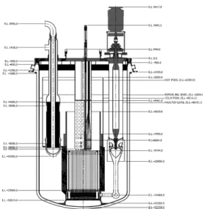 Fig. 1 PGSFR primary heat transfer system (pront view)