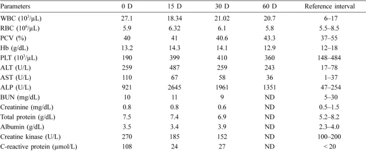 Table 1. A complete blood count and serum biochemical results in a dog with systemic lupus erythematosus