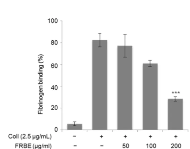 Fig. 5. Effect of FRBE on thrombus formation in rats. The procedures for AV Shunt model are described in the “Materials and Methods” section
