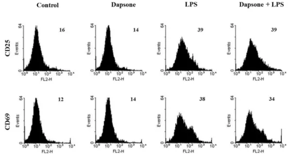 Fig. 4. Effects of dapsone on the expression of lymphocyte activation markers. Spleen cells were cultured and treated as described in Figure 2