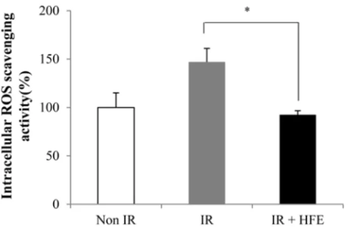 Fig. 4. Effect of HFE on DNA damages in splenocytes after 1.5 Gy gamma-ray irradiation