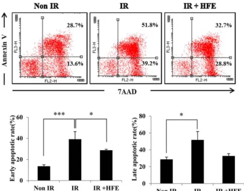 Fig. 6. The apoptosis of splenocytes both with and without HFE (6.3 µg/mL) treatment was evaluated by Flow cytometry