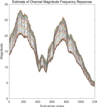 Fig. 2.  Preprocessing image of LTE CSI-RS channel magnitude frequency  response.