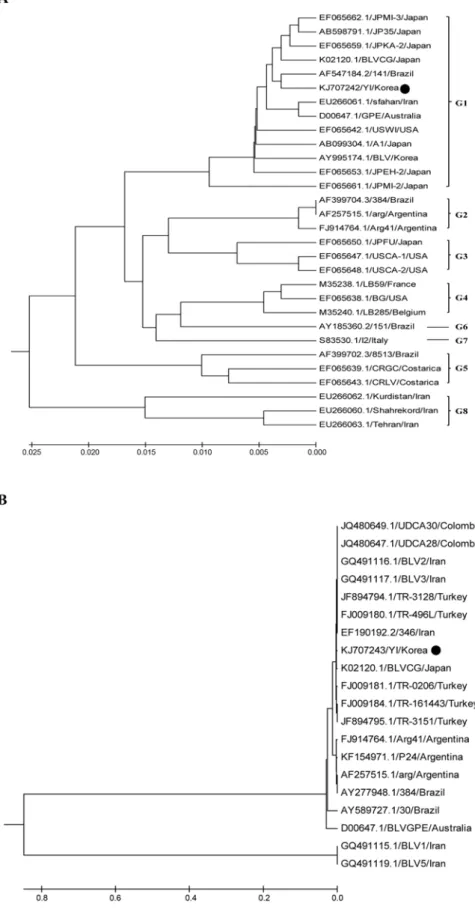 Fig. 1. Phylogenetic analysis of partial sequences of bovine leukemia virus (BLV) env (A) and gag (B) gene