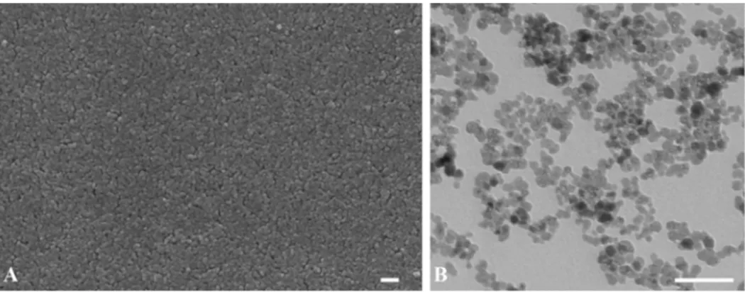 Fig. 2. Biodistribution of free  177 Lu activation in blood and var- var-ious organs of mice at 1 day after treatment of free  177 Lu  sus-pensions at a dose of 5 µCi/mouse