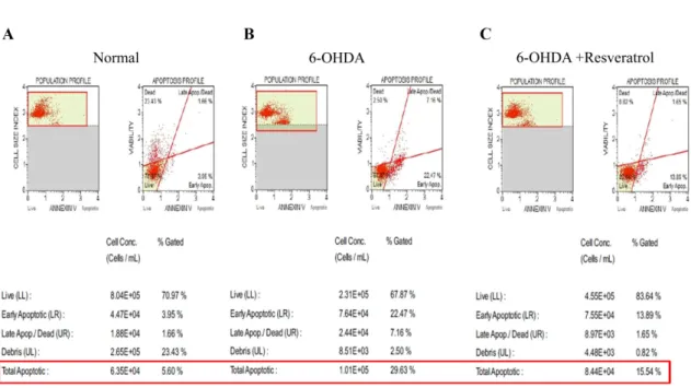 Fig. 5. Effect of resveratrol on TBARS formation (A) and GSH/GSSG ratio in SH-SY5Y cells obtained from neurotoxicity induced by 6-OHDA (60 µM) exposure for 20~24 h
