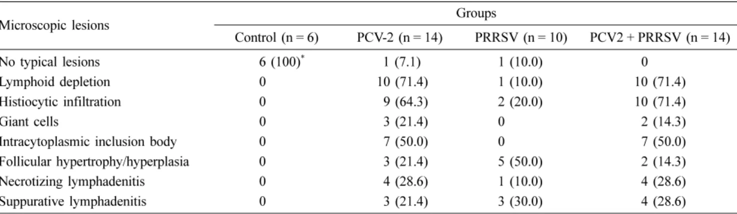Fig. 1. The inguinal lymph nodes of PCV2 and PRRSV mixed infected pig are 3 to 5 times larger than normal.
