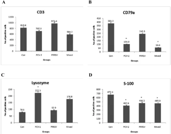 Fig. 6. CD79α positive B cells. Control pig (A) and PCV2 and PRRSV mixed infected pig (B)