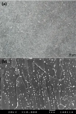 Fig. 2 Microstructure of SA508 Gr.4N model alloy; 