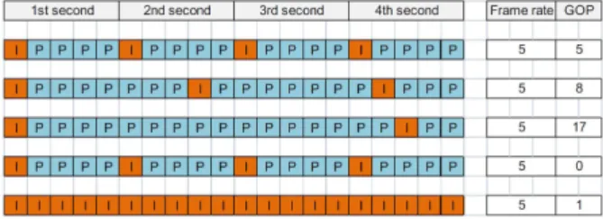 Fig. 1.  Group of pictures (ACTi 2009).