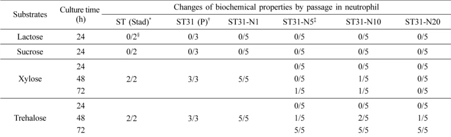 Table 2. Changes of biochemical properties of Salmonella  Typhimurium  isolates by passage in porcine neutrophils